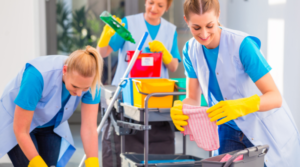 Read more about the article Cleaners  Jobs In Canada,500  Overall.