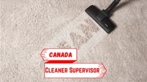 Cleaner Supervisor