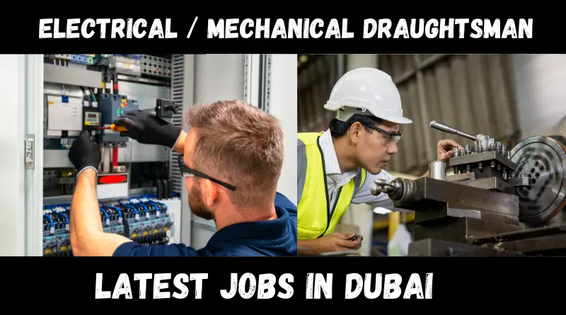 Electrical Mechanical draughtsman