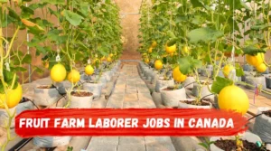Fruit Farm Laborer Jobs in Canada