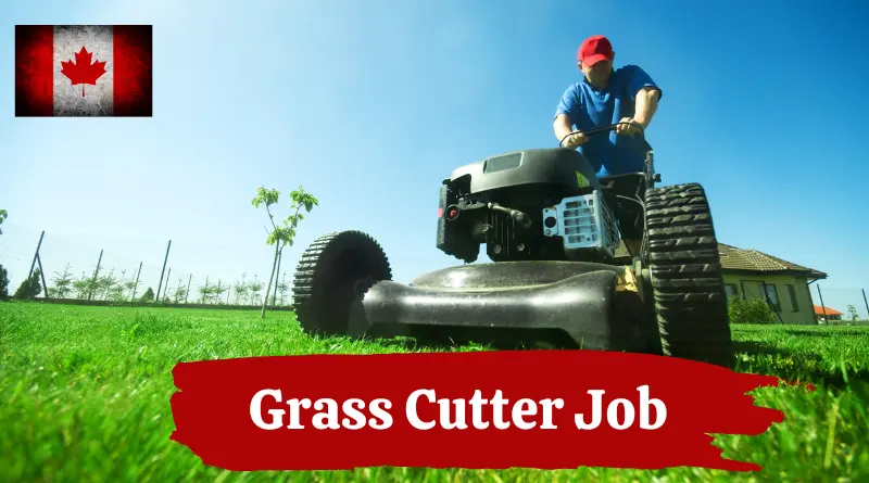 Read more about the article Grass Cutter Job Vacancies are available in Canada